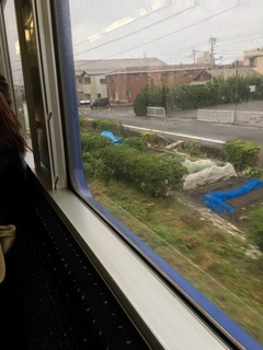 2D899F54-D364-46E6-AF96-9DD068C93D27.jpeg