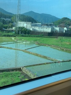 4C901D8D-E202-43D9-AAB6-EB13199C9F5C.jpeg