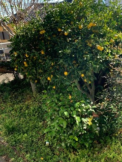 09702594-8097-4545-A145-087268EBEB81.jpeg