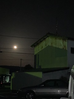 0FCCD027-E7DB-4D8D-AFA5-559D28C32665.jpeg