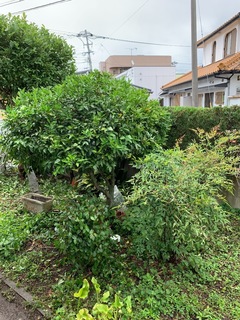 14CB7E4A-2AA8-46BC-AC43-9C269E5662D9.jpeg