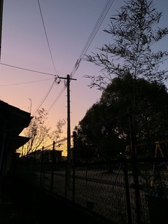 223860BE-D336-430E-A92E-AFE8CDA099BE.jpeg