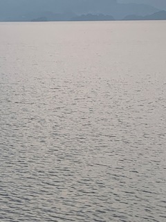 37EACEAF-7617-4BEB-9B69-C25DCB25DB06.jpeg
