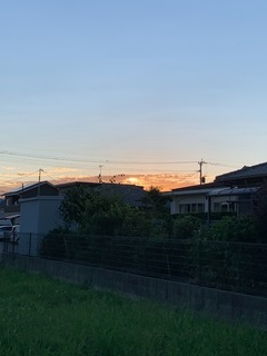 4A11527C-3183-4FBD-8712-44BE161F52A0.jpeg