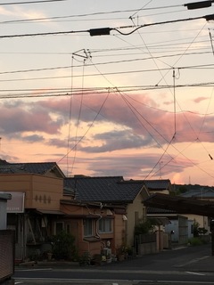 546F7D96-CC0E-4ACD-B85C-7A3C7A4B58AE.jpeg