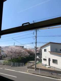 5E849962-2EFC-49FD-BFE9-9BD684E6B865.jpeg