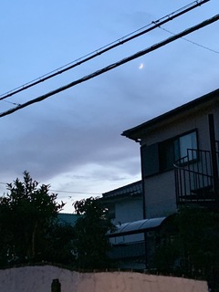 6676CD3E-6E90-4E0F-B5D6-20C8D2A2E702.jpeg