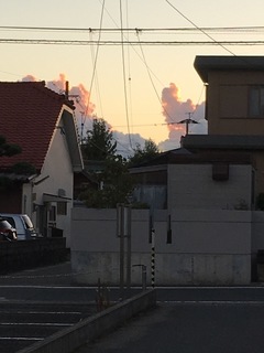6F48CE49-4116-4D01-8F0C-F9ACCF9DFBEC.jpeg