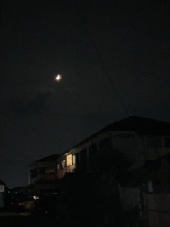 7B06941A-723A-428D-8217-4EAC3A2BC58B.jpeg