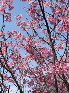 7C535F19-FE3B-4EC5-A5B9-3984155694C0.jpeg