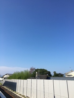 814F996A-CD1C-4D22-9439-45AE79799565.jpeg