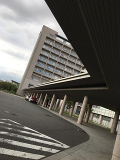 91666839-8D1B-4544-804F-A6E180267036.jpeg