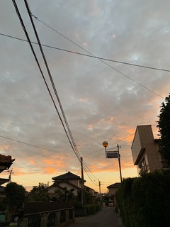 A42C654C-EA89-4FA3-8D32-9D6FFF505481.jpeg