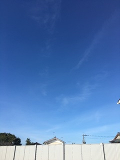A432536D-9997-4C7F-8E4C-4F127B4E4395.jpeg