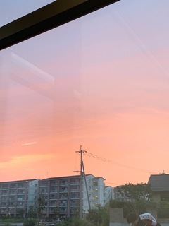 AB83218A-B6C4-4453-AEA5-F6310AAB6561.jpeg