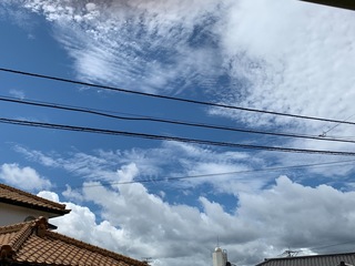 C2266D43-AF1C-4631-A2B4-FD67960D9434.jpeg