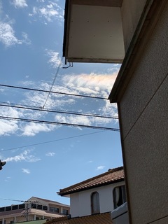 C8D1642C-8D87-463A-83BC-1A2A6707A0C5.jpeg