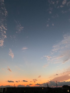 C9581A99-B9B9-474C-9938-5FF30976BCF5.jpeg