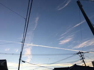 DC9346E5-0CE6-49E1-B1D0-A7B4D8128D95.jpeg