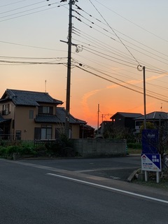 E8530B6D-FD5F-4C8C-BC1D-1E21643743D2.jpeg