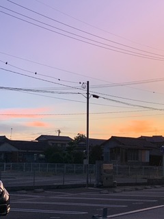 E99BB6E5-6DD4-49A9-89F1-D604A5EF67A2.jpeg