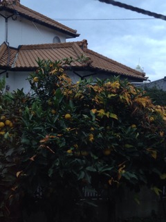 image-27793.jpg