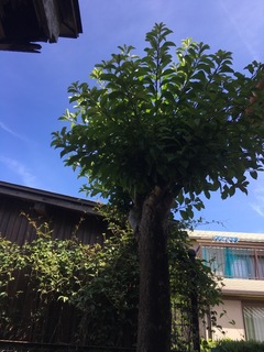 image-2f803.jpg
